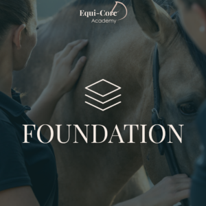 Equi-Core FOUNDATION