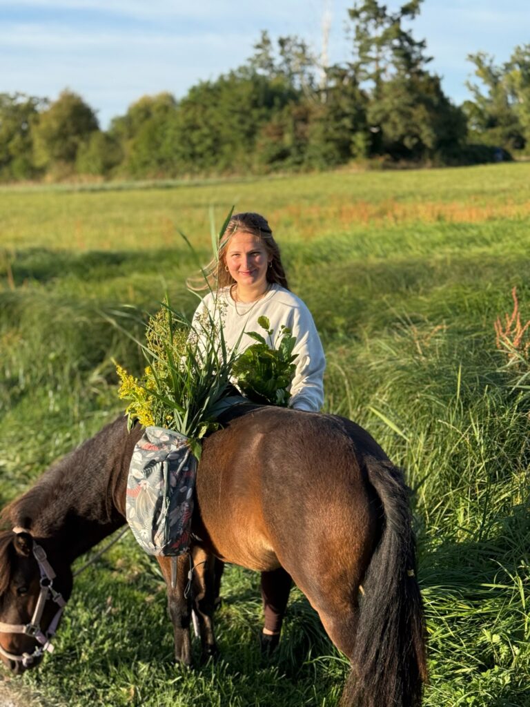 Ein Knabberspaziergang mit Vivien Gala und ihrem Island-Pony: Gut für das Nervensystem und den Pferdedarm.