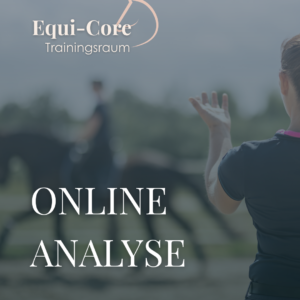 Online Analyse