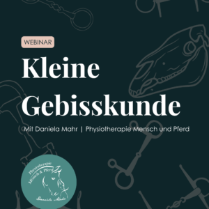 Webinar: Kleine Gebisskunde