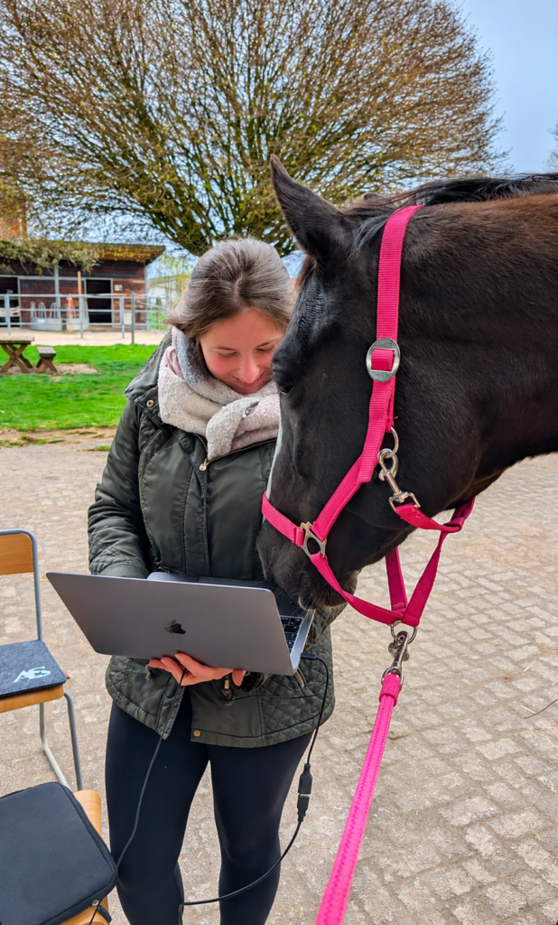 outdoor_stable_farm_setting_with_a_close_natural